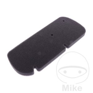 Athena Air Filter for Honda Motorcycle 1998-2002 S410210200018