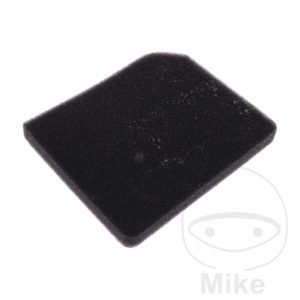 Athena Air Filter for Aprilia Motorcycle 1999-2006 S410010200007