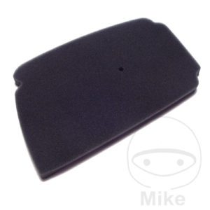 Athena Air Filter for Honda Motorcycle 1995-2001 S410210200003
