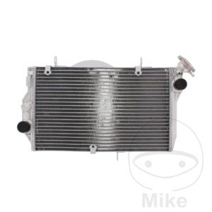 Radiator JMP Engine cooling system Fits Honda Motorcycle 2001-2008