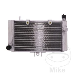 Radiator JMP Engine cooling system Fits Honda Motorcycle 1994-2003