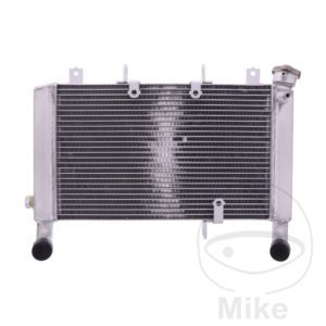 Radiator JMP Engine cooling system Fits Honda Motorcycle 2017-2020