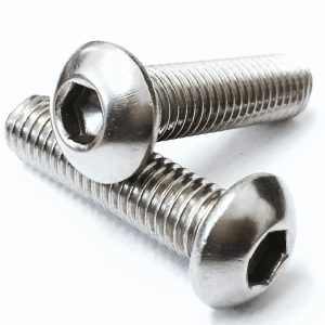 bolts stainless steel x 2